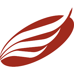 American Eagle Financial Credit Union logo